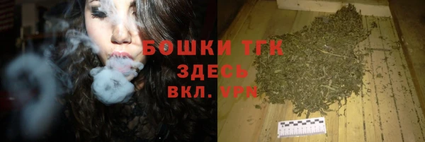 шишки Аркадак