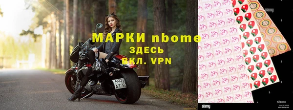 шишки Аркадак